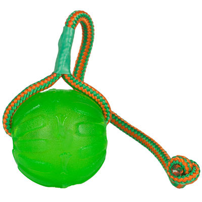Starmark™ Swing n‘ Fling Chew Ball Dog Toy I002240