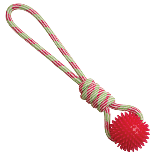 SnugARooz Spike-O-Mite 16 in I016664