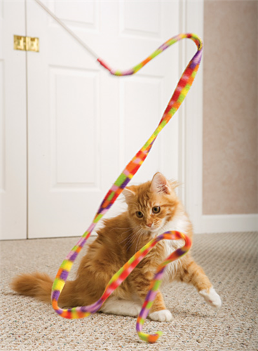 Cat Charmer Wand 7151